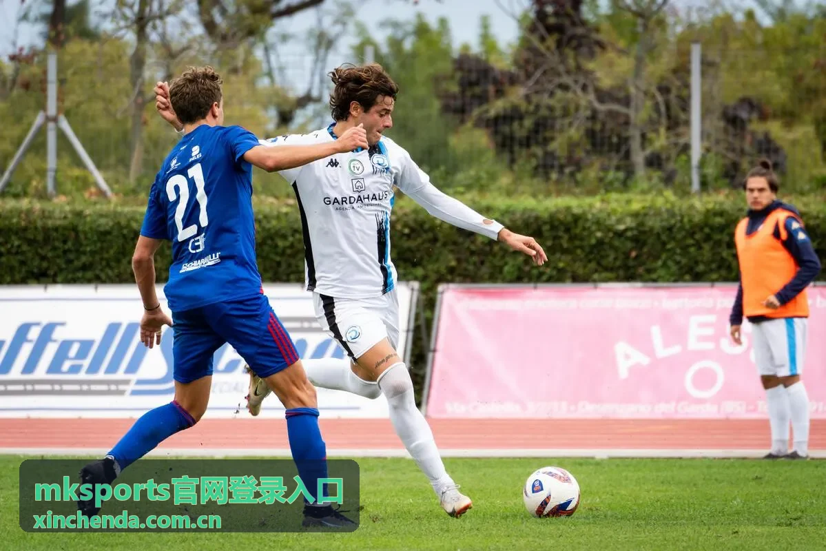 mksports官网登录入口登录前准备事项示意
