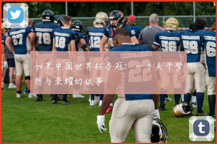 如果中国世界杯夺冠：一个关于梦想与荣耀的故事