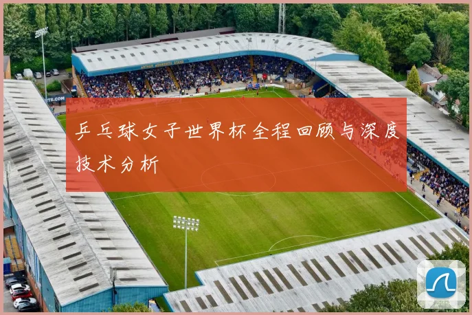 乒乓球女子世界杯全程回顾与深度技术分析